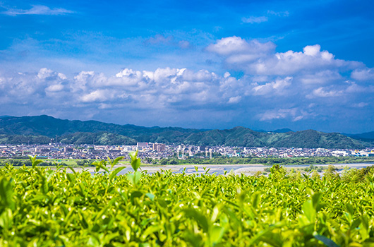 不要な土地を有効活用するために